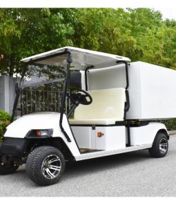 AW Series 2-seater Electric Golf Car with Utility Close Box