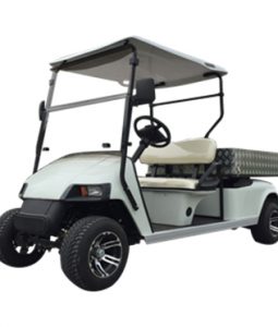 AW Series 2-seater Electric Golf Car with Utility Box