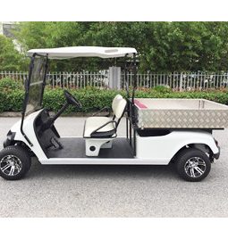Alternative view of AW Series 2-seater Electric Golf Car with Utility Box