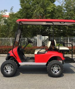 AW Series 4-seater Electric Buggy