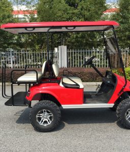 Alternative view of AW Series 4-seater Electric Buggy